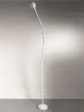 Maurizio Cattelan, Trifide