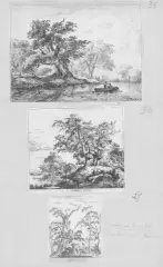 Jacob van Ruisdael, Paesaggi