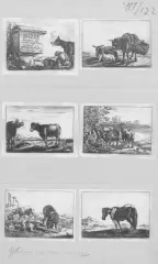 Animali by Theodorus van Kessel, sei acqueforti, offered Dec 2020