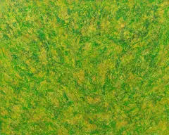Bruno Pulga, La natura 1981, oil on canvas cm