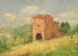 Alberto Cecconi, Fra Il Grano