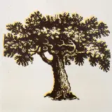 L'Albero della Vita anni Settanta by Mario Schifano, offered Dec 2019
