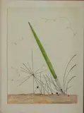 Pablo Echaurren, A passeggio in una poesia 1978