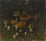 František Daněk-Sedláček, Fly Agarics, oil on canvas