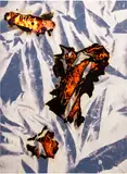 Korakrit Arunanondchai, Untitled (A), 2013, denim and inkjet print on canvas