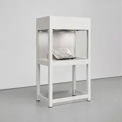Michal Rovner, Ovesh, 2004, steel vitrine with glass and stone and DVD video projection