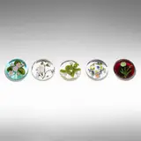 Paul Stankard, Botanical paperweights, collection of five