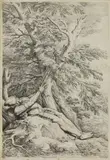 Salvator Rosa, Untitled