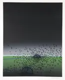 David Manzur, Requiem Para Un Paisaje Amazónico