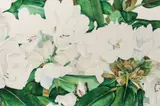 Gary Bukovnik, Flowering Tree