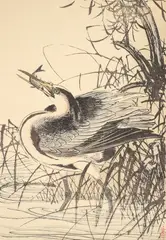 Imao Keinen, Egret with Minnow 1891, woodblock print in colors, 12.75 x 8.8 inches, with a stamp at the lower right corner in red, ink, unframed