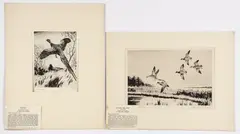Churchill Ettinger, Pitching Mallards and Pheasant, etchings, 8 x 11.75 inches and 8 x 6 inches, each, pencil