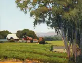 Brian Blood, Morning at White Ferry Vineyard, 2005, oil on canvasboard