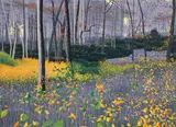 Gordon Mortensen, Fall, 2002, color reduction