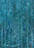 Jack Marlowe Wise, Spirit in the Forrest
