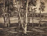 Luigi Lucioni, The Edge of the Birches, 1951, (Embury 117), etching, pencil