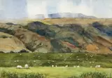 Cynthia Cooley, Grazing Sheep, 1985, watercolor