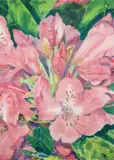 Gary Bukovnik, Rhododendrons