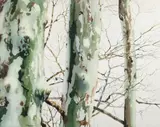 Charles Pitcher, (American/Western PA, 1927-2009), Sycamores, 1980s or 90s