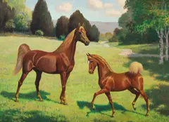 George Ford Morris, Mare and Foal in a Field, 1948, oil on artist's board