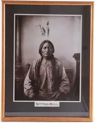 Untitled by David Francis Barry, photograph of sitting bull, offered May 2024