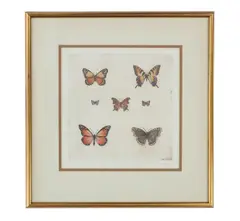 Butterflies I by Sandy Scott, etching 1970-90s, offered May 2024