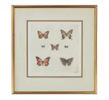 Sandy Scott, Butterflies I, etching 1970-90s