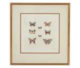 Sandy Scott, Untitled, etching 1970-90s