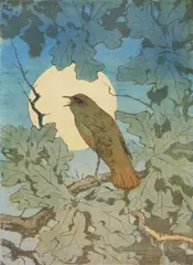 Allen W. Seaby, Nightingale, woodcut in colors