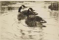 Frank Benson, Canadian Geese (Paff 158), etching, 1919