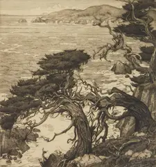 Cornelius Botke, Foam and Cyprus, Point Lobos, etching