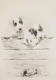 Marguerite Kirmse, What Is It?, etching