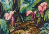 Paul B. Travis, Orchids and Goliath Beetle
