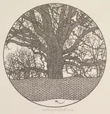 Jacques Hnizdovsky, Mc Guffey Ash (Tahir 305), woodcut, 1982