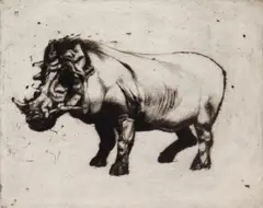 Ralph Woehrman, Wart Hog, etching