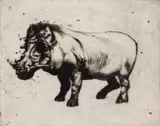 Ralph Woehrman, Wart Hog, etching