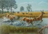Mauricio Antón, Nimravides & Cranioceras, oil on canvas, 1991-94