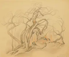 Vera Eugenia Andrus, Jade Tree, pencil on paper, ca. 1939-41