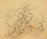 Jade Tree by Vera Eugenia Andrus, pencil on paper, ca. 1939-41, offered Aug 2023
