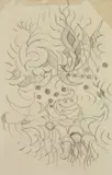 Charles E. Burchfield, Abstracted Flower, graphite on paper (double sided)