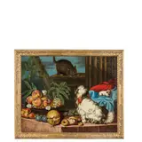Giacomo Nani, Natura morta con frutti, cane e gatto, oil on canvas