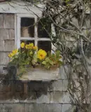 April in Siasconset by Kathy Anderson, Oil on Canvas, offered Feb 2021