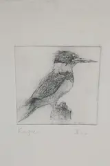 Kingfisher by David Lazarus, Etching, offered Feb 2021