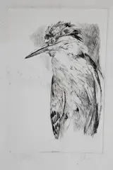 Night Heron by David Lazarus, Etching, offered Feb 2021