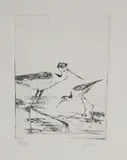 David Lazarus, Stilts, Etching