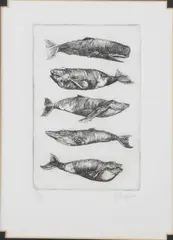 Limited Edition Black and White by David Lazarus, Etching of 5 Whales, offered Jul 2021