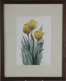 Roy Bailey, Yellow Tulips