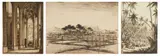 Tavík František Šimon, 1.) ''Tropical Wood, Ceylon''-, etching, 1927-29