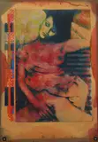 William Frederick Weege III, Untitled, serigraph, flocking, dye, glitter and stitching