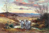 Rutilio Muti, L'aratura